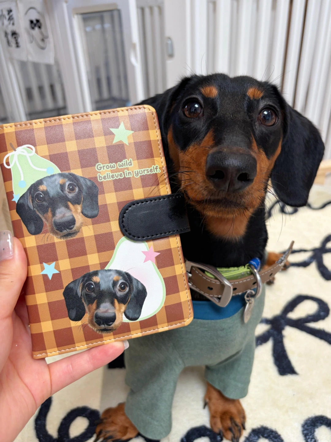 Personalized Pet Photo Art Card Holder