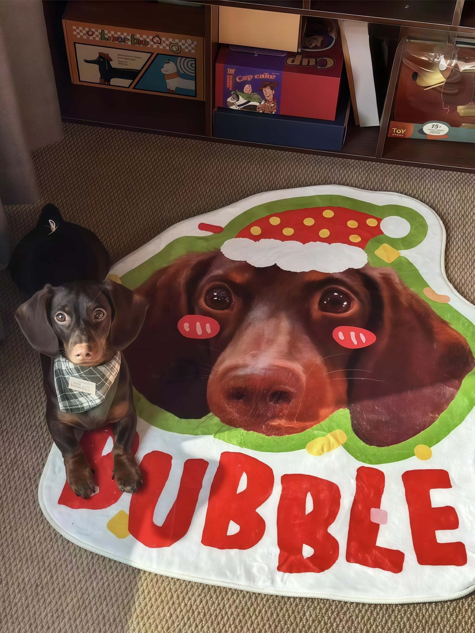 Custom Pet Mat (Playful Shape)