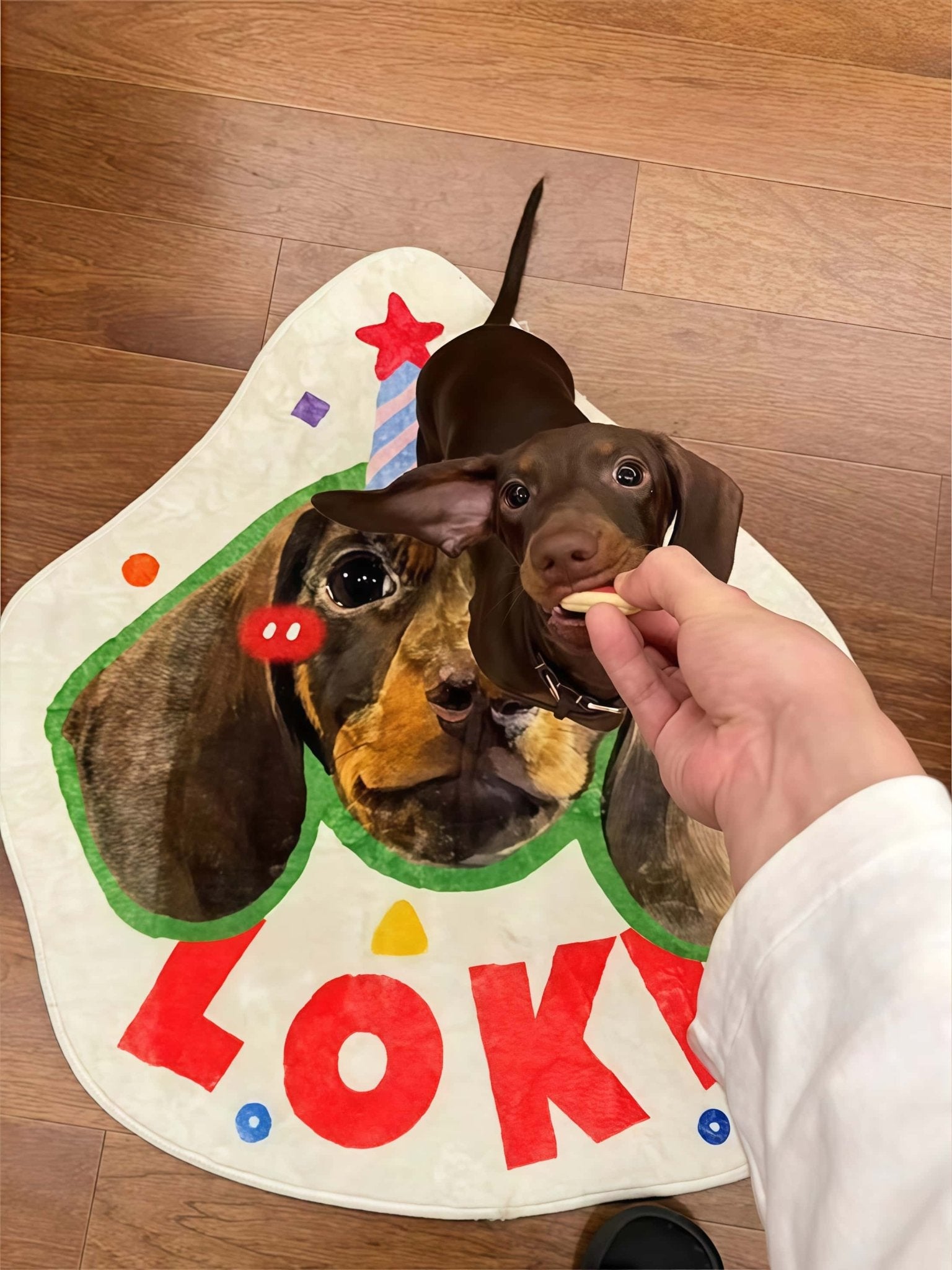 Custom Pet Mat (Playful Shape)