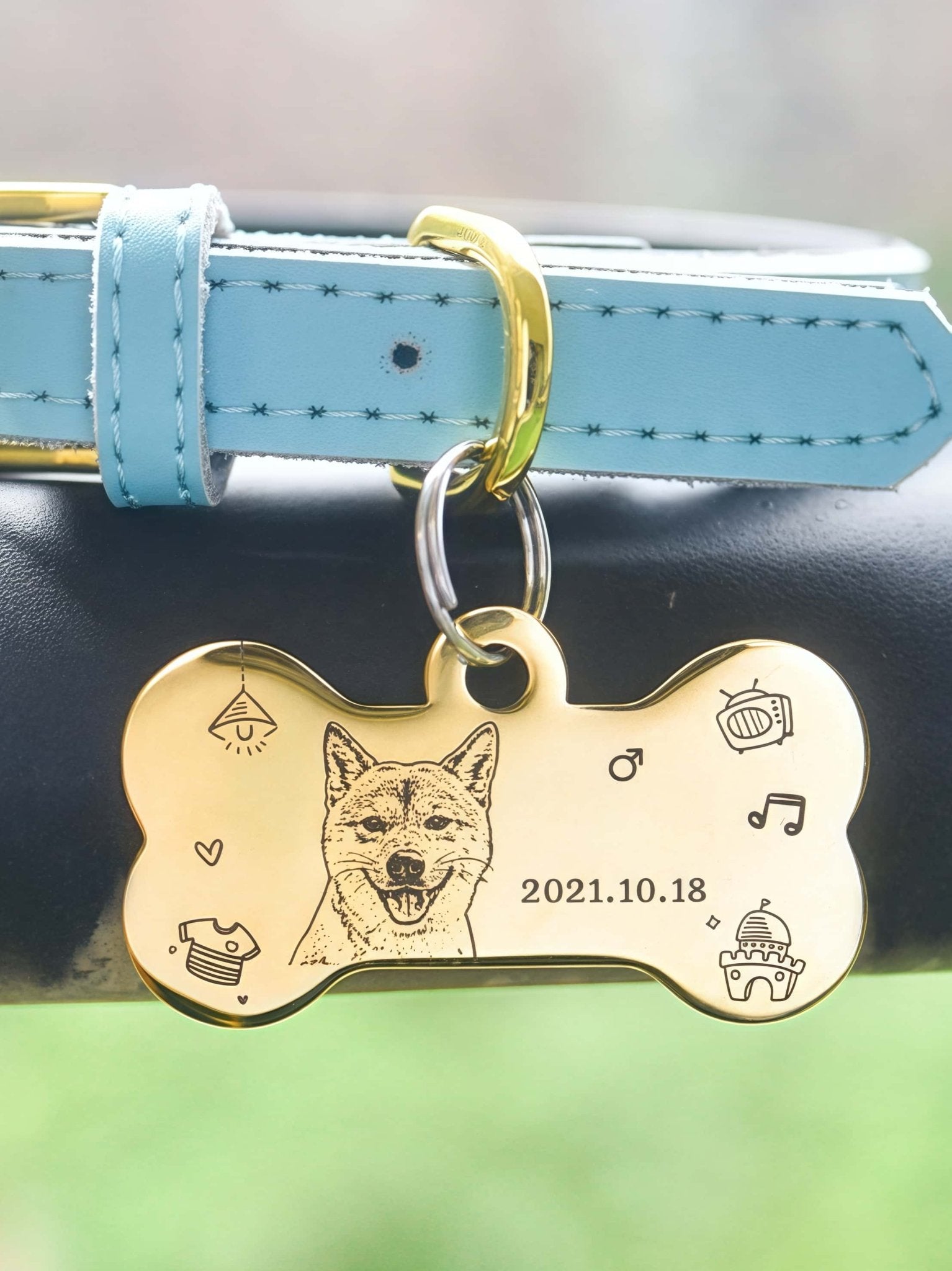 Custom Pet Tag - Classic Bone