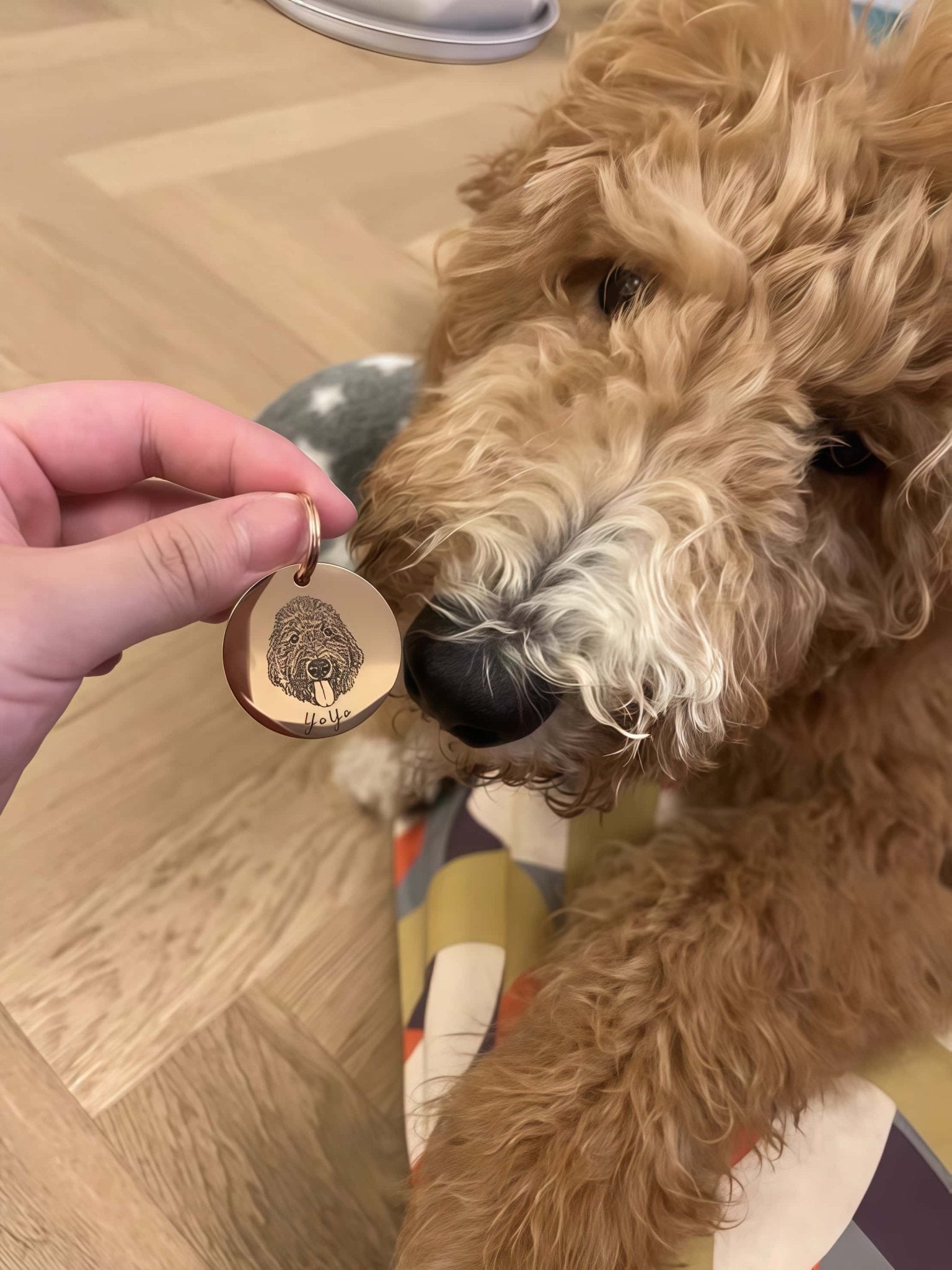 Custom Pet Tag - Vintage Medal