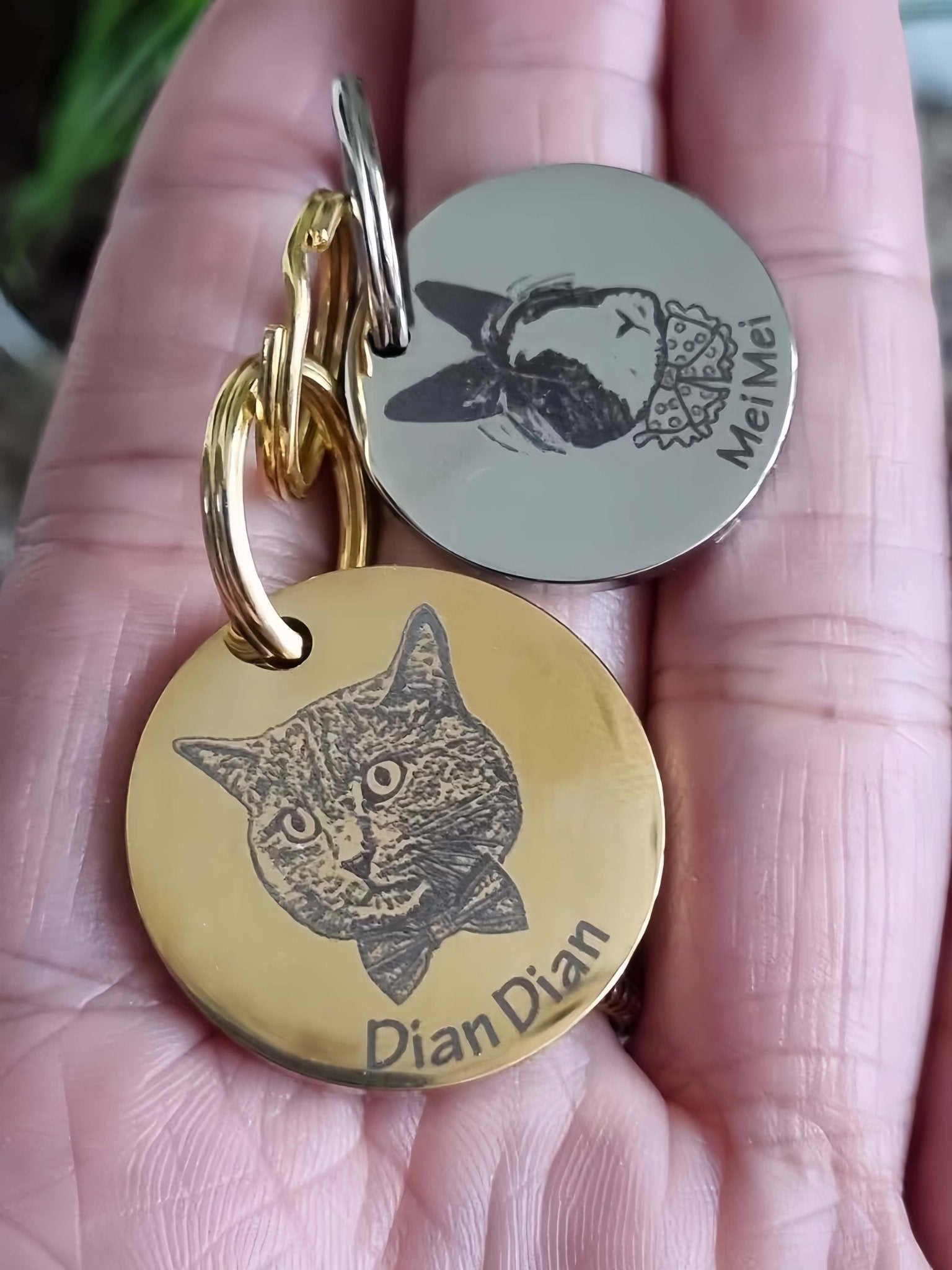 Custom Pet Tag - Vintage Medal