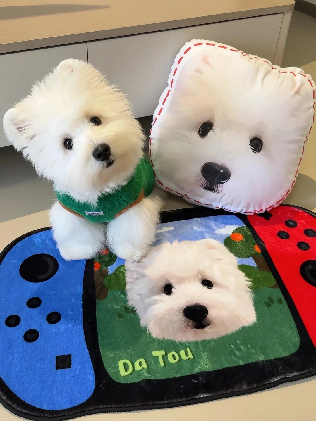 Custom Pet Mat (Playful Shape)