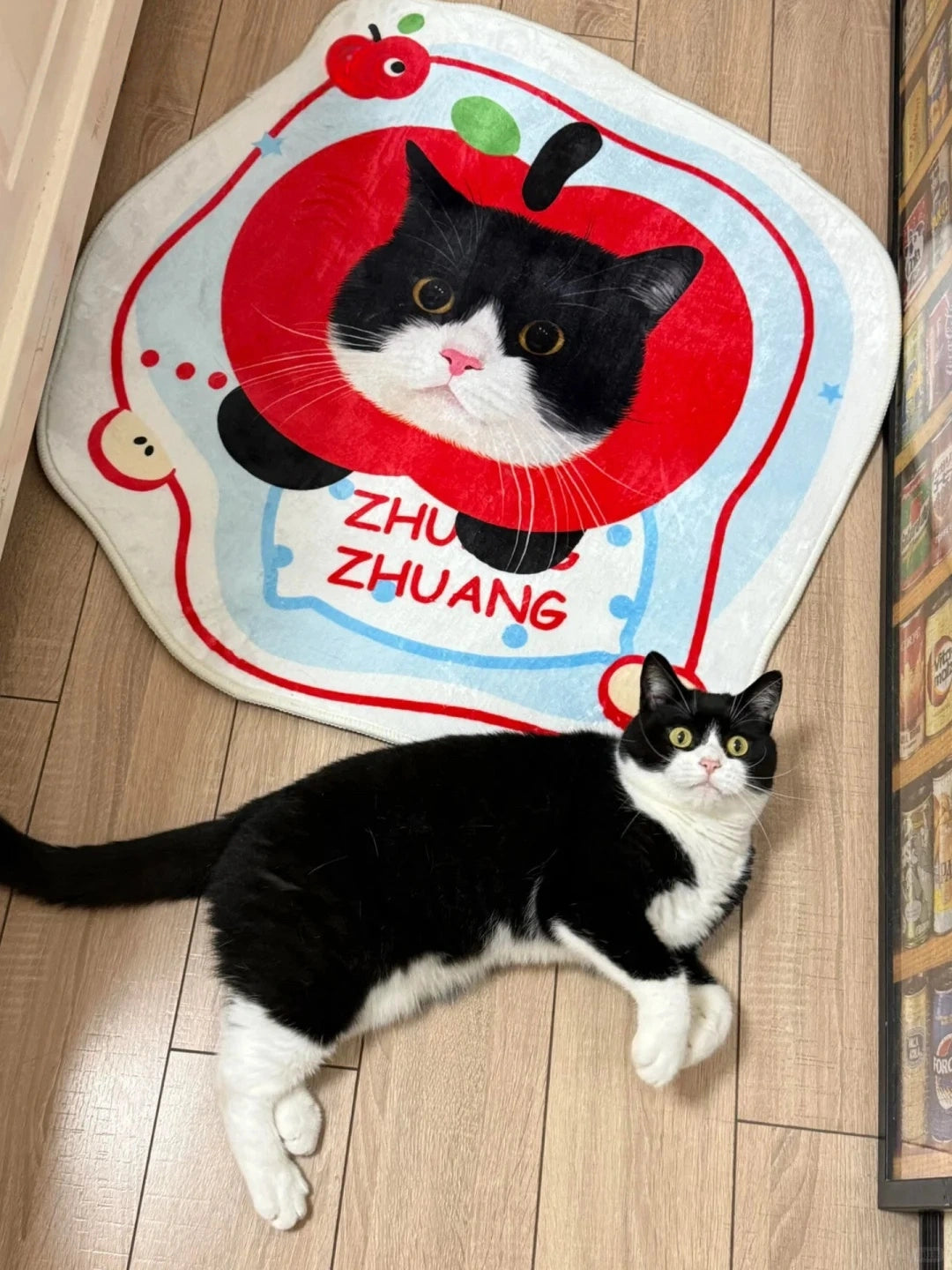 Personalized Pet Photo Art Irregular Shape Rug
