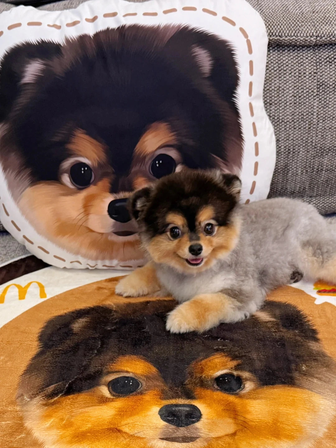 Personalized Pet Photo Art Pillow
