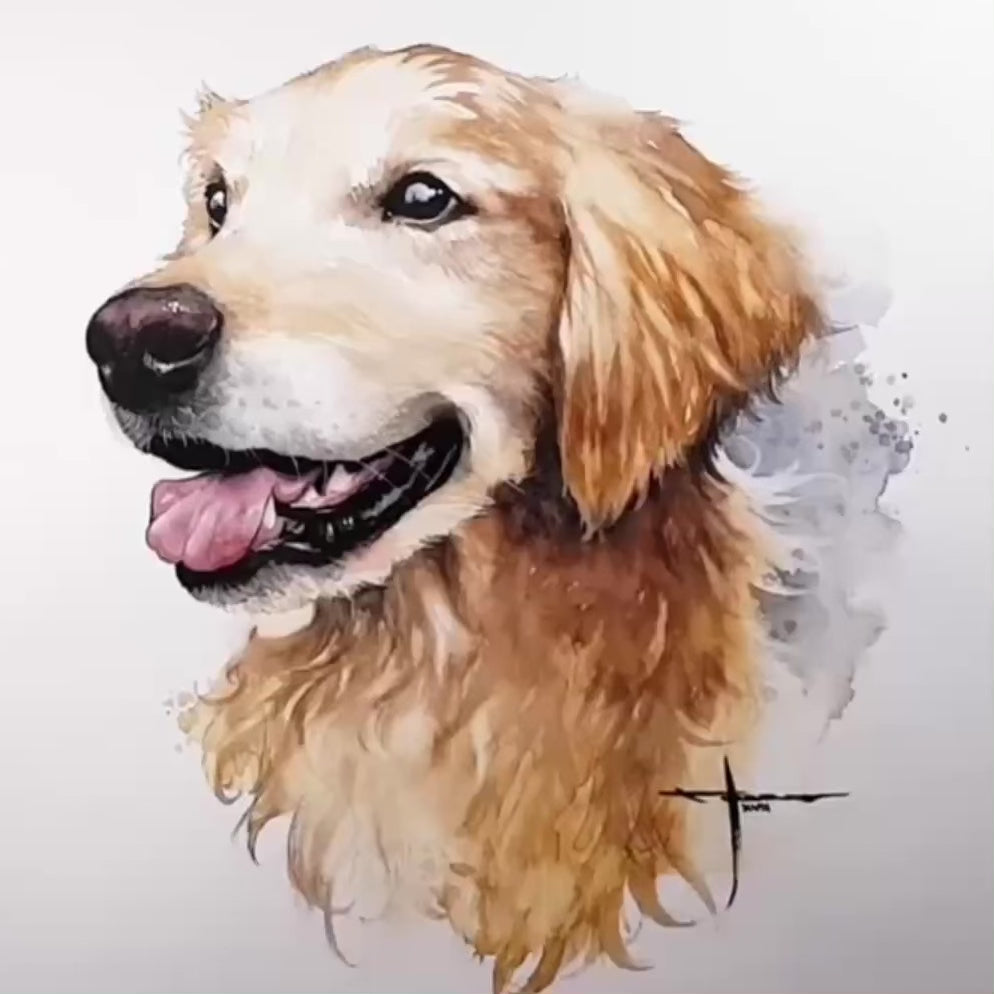 Load video: