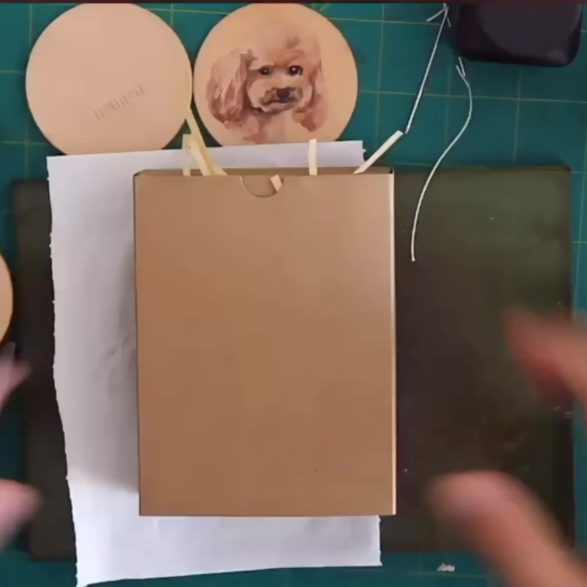 Load video: