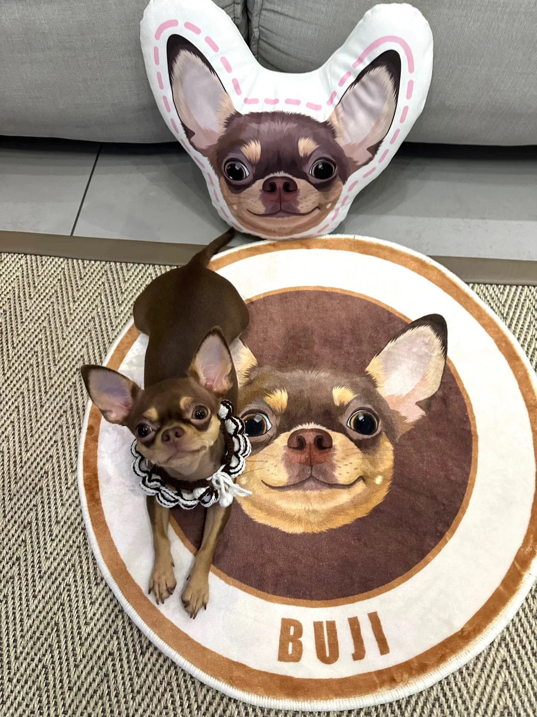 Personalized Pet Photo Art Rug