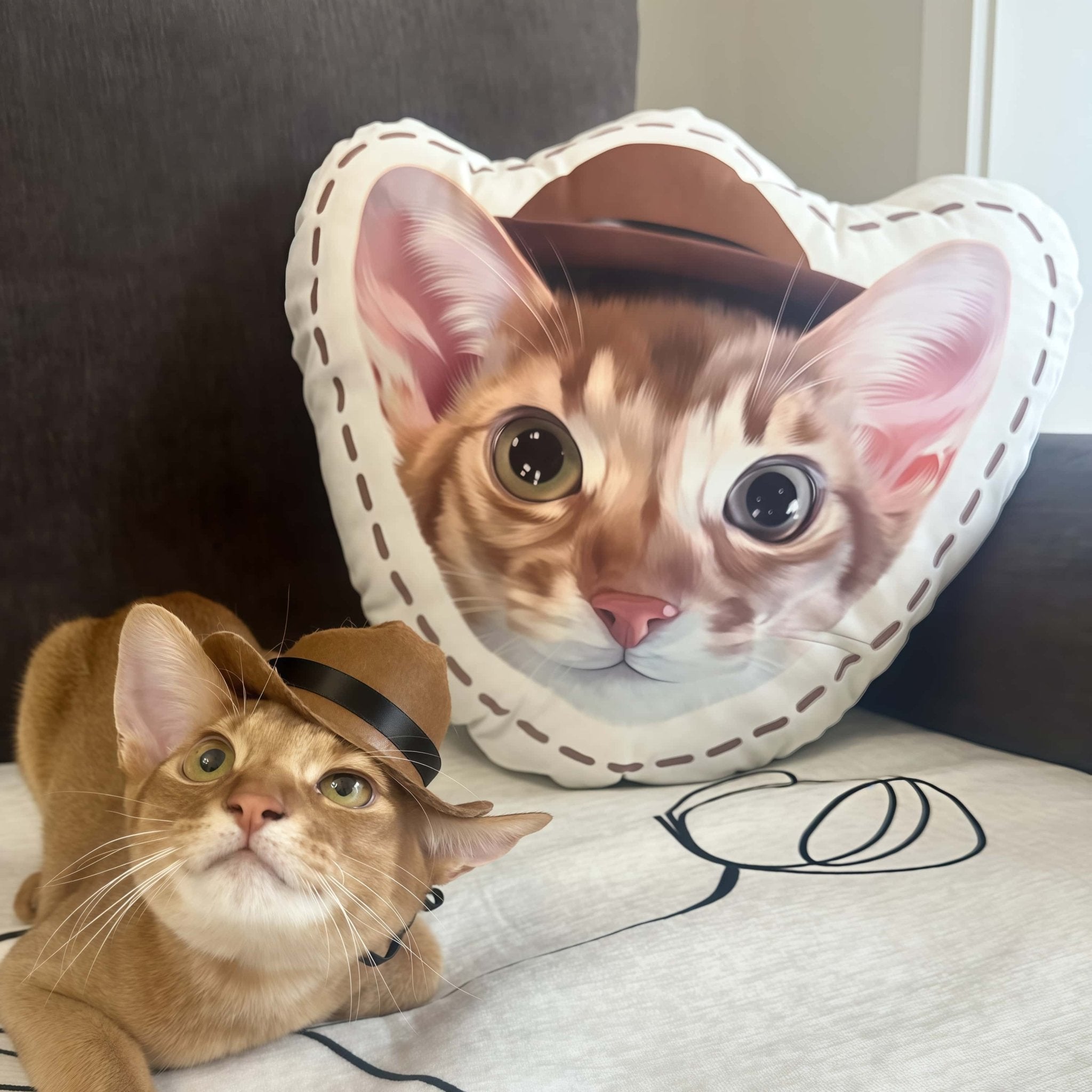 The Story Behind Our Custom Pet Pillows - Custom Creations Hub