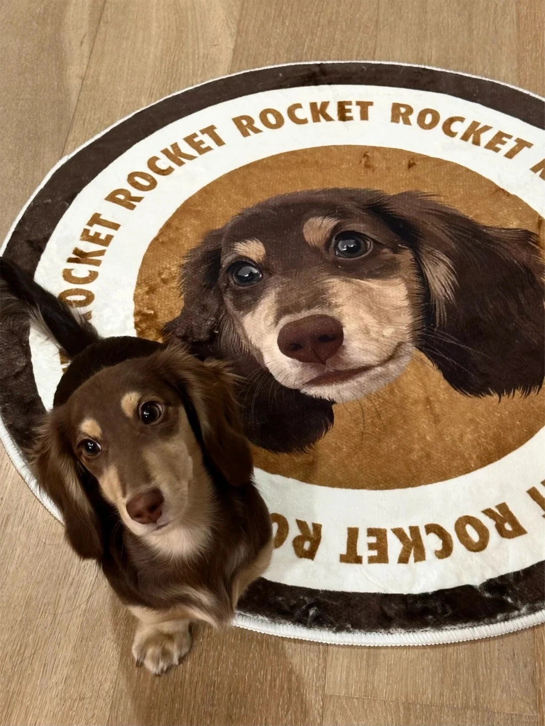 Personalized Pet Photo Art Rug