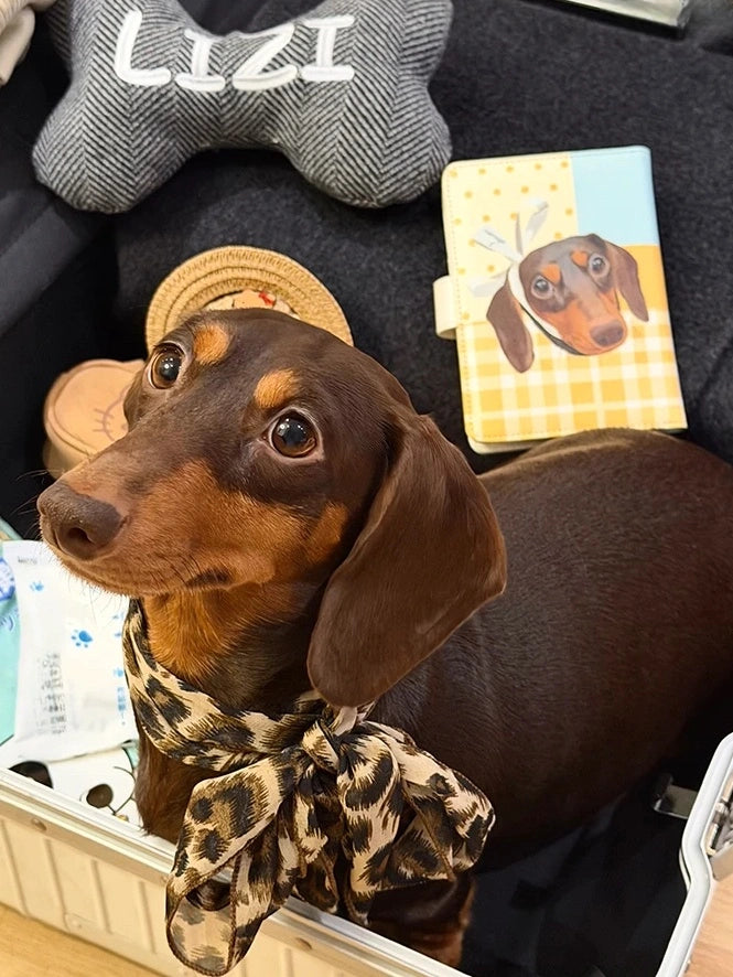 Personalized Pet Photo Art Card Holder