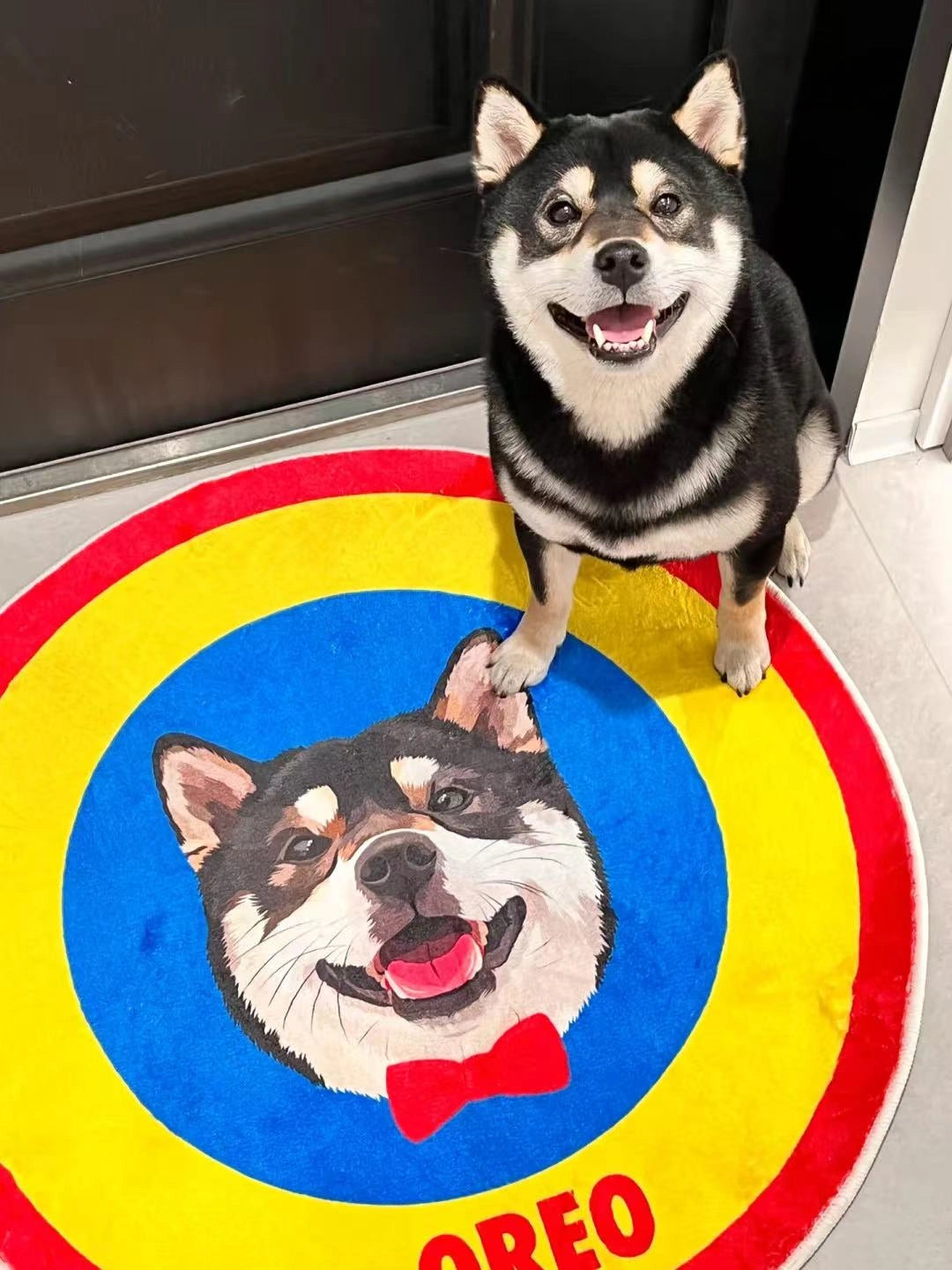 Personalized Pet Photo Art Rug