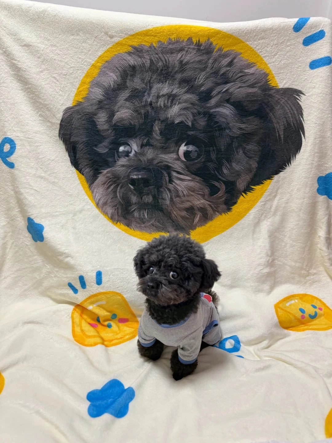 Custom Pet Blanket