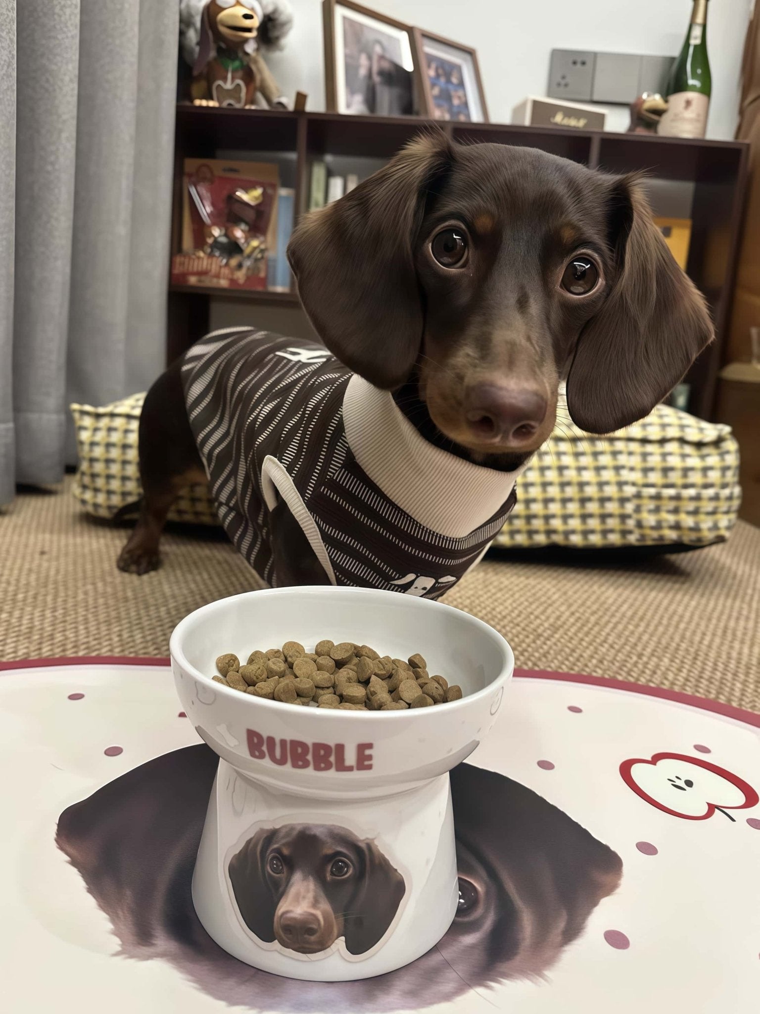 Custom Elevated Pet Bowl