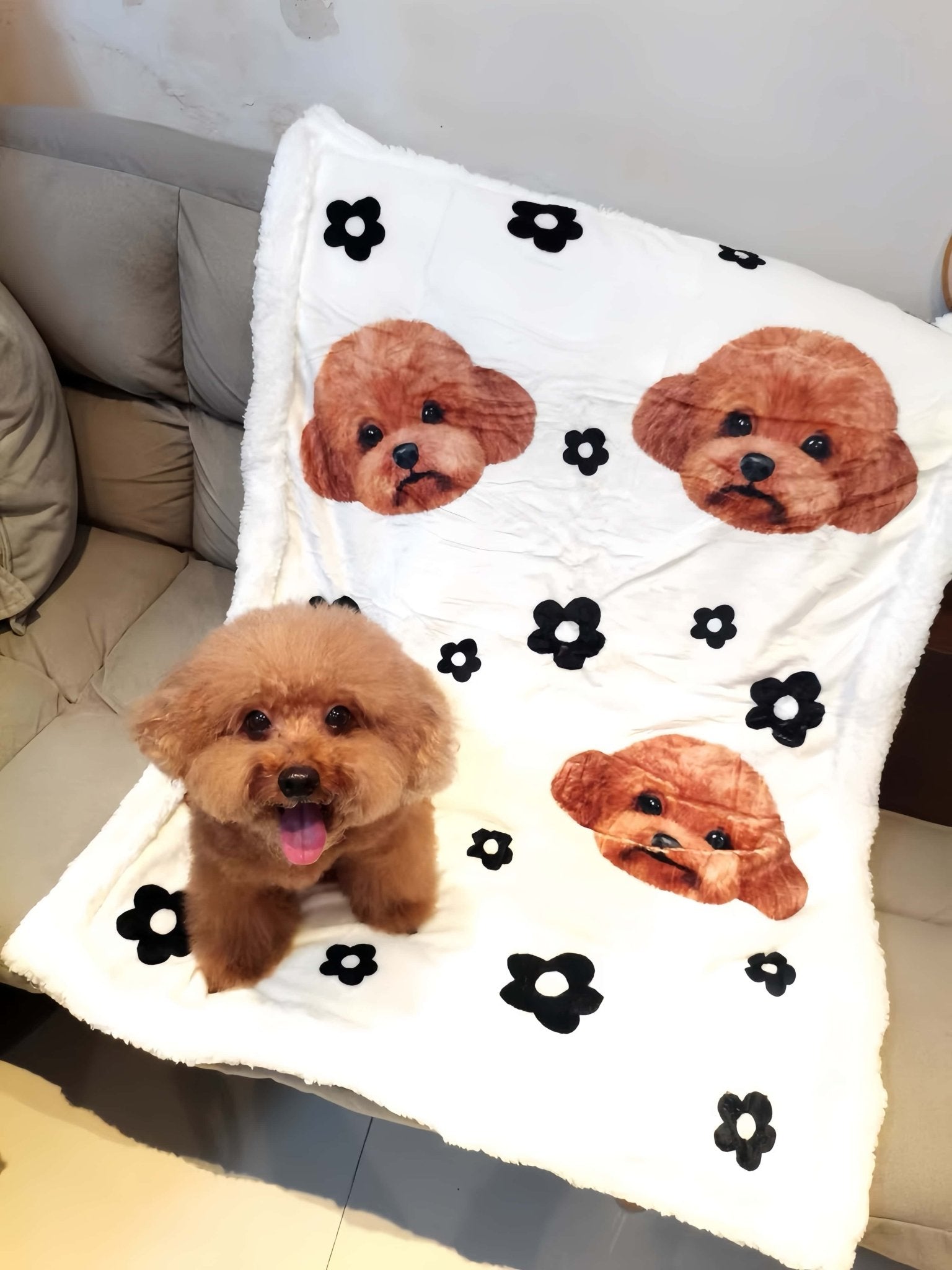 Custom Pet Blanket