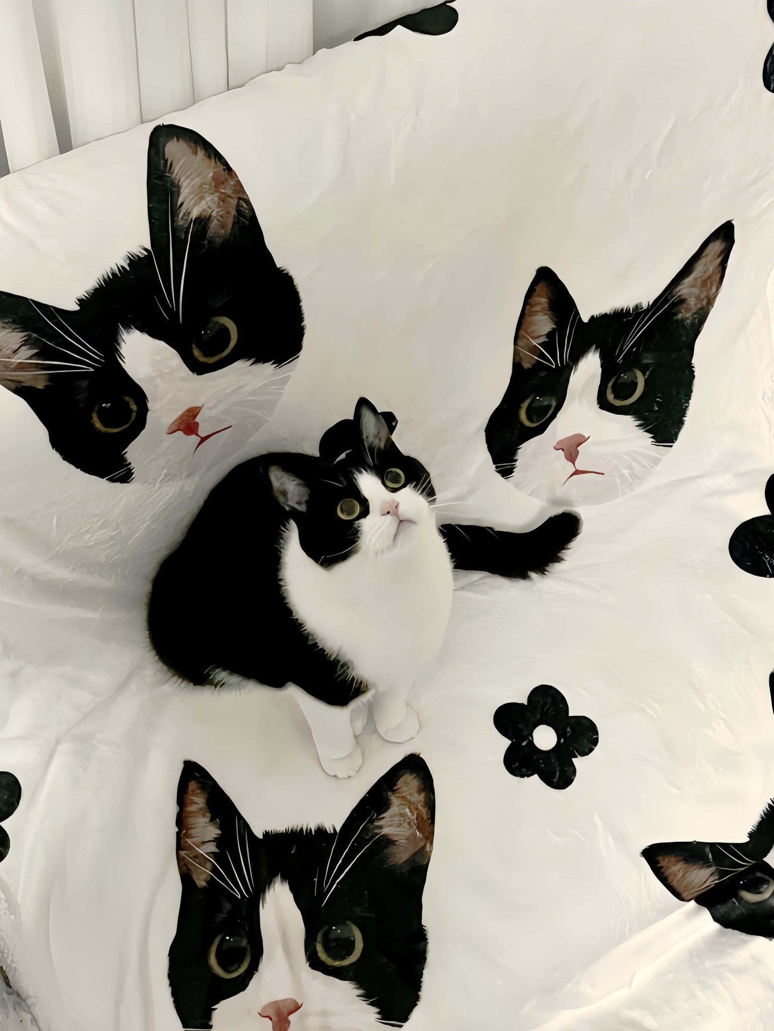Custom Pet Blanket