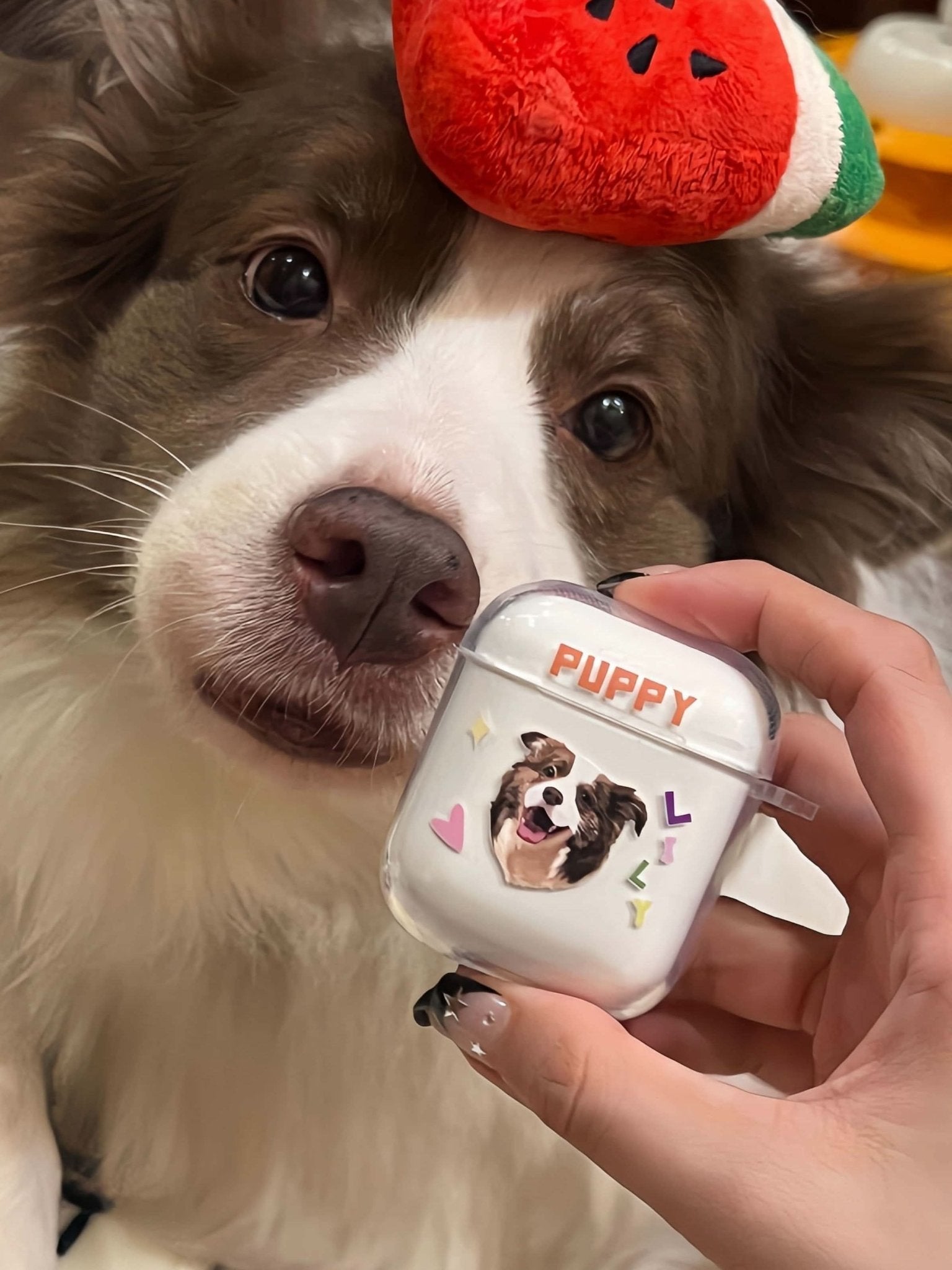 Custom Pet Earphone Cases