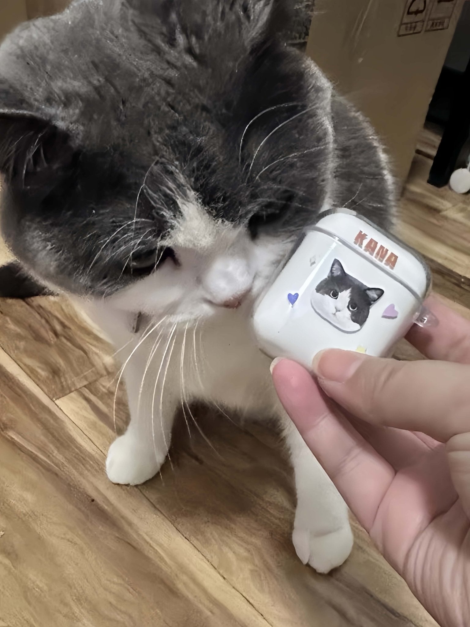 Custom Pet Earphone Cases