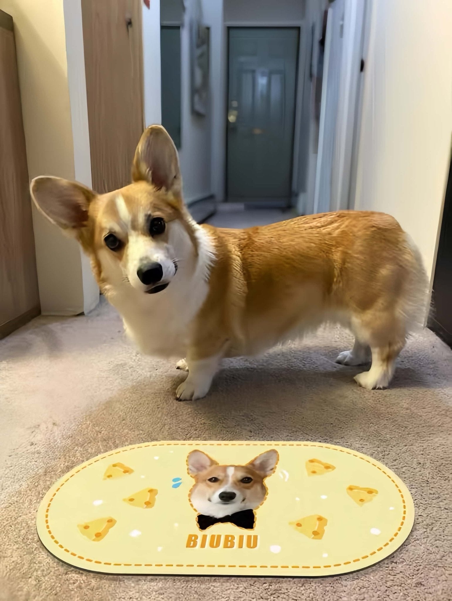 Custom Pet Food Mat