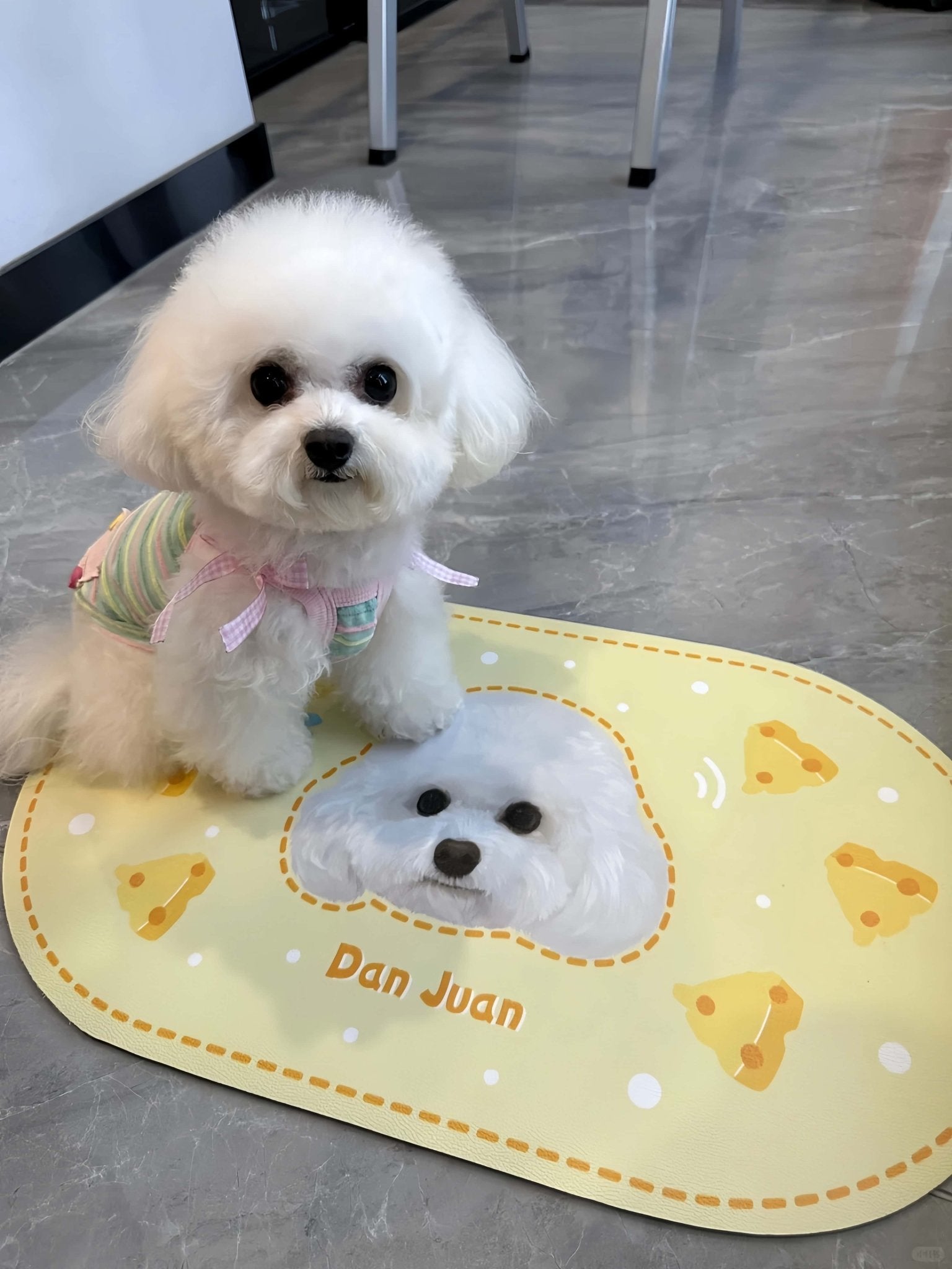 Custom Pet Food Mat
