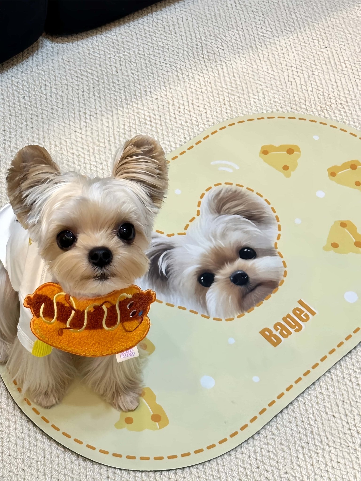 Custom Pet Food Mat