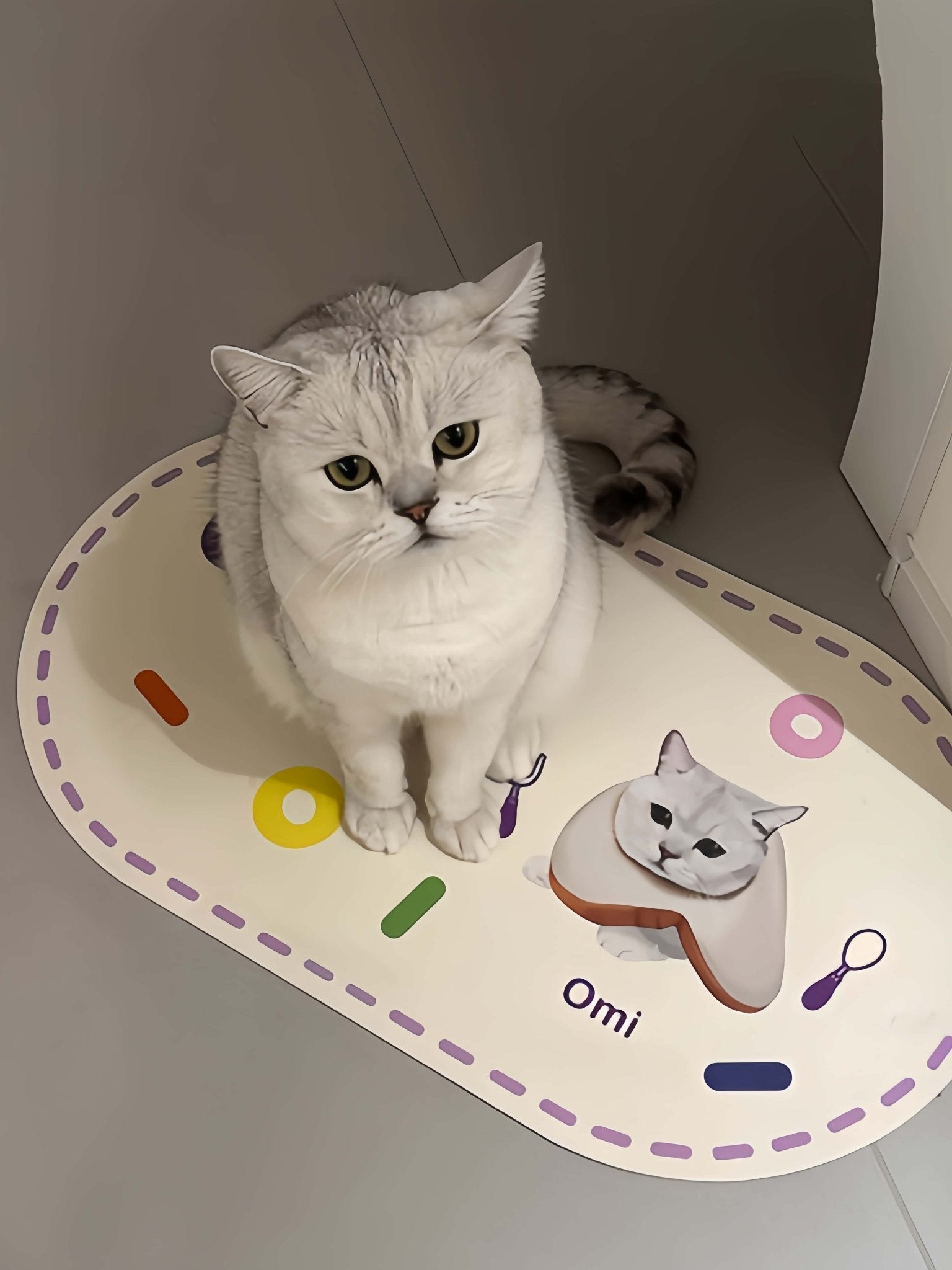 Custom Pet Food Mat