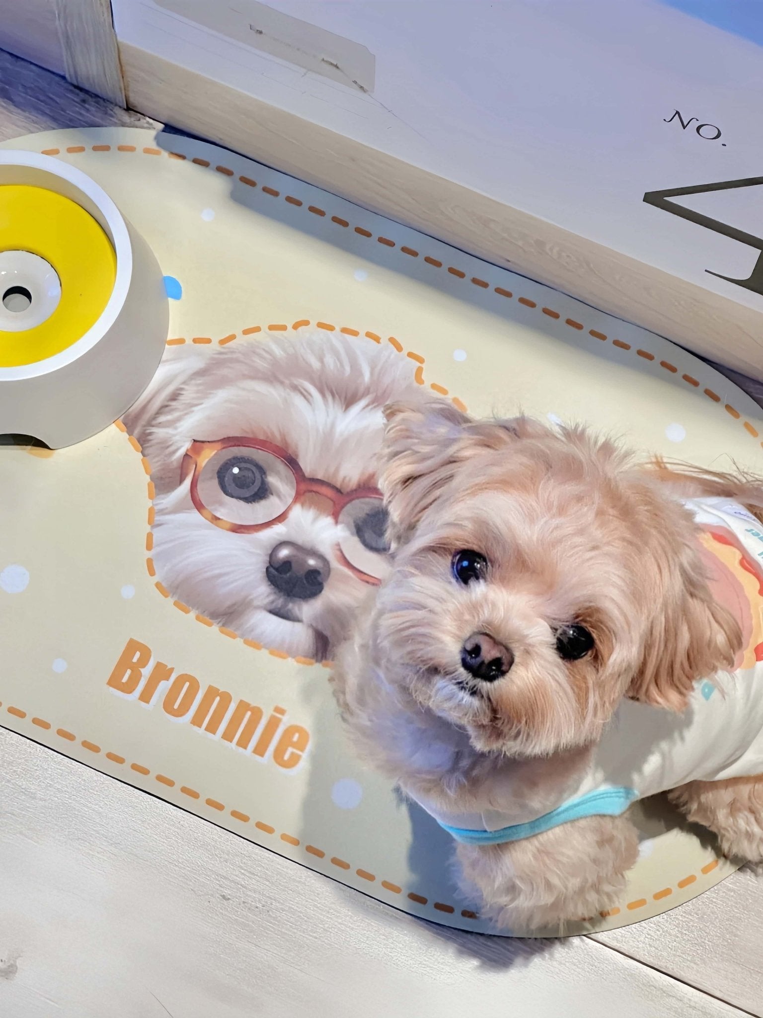 Custom Pet Food Mat