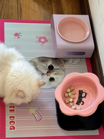 Custom Pet Food Mat (Rectangle)