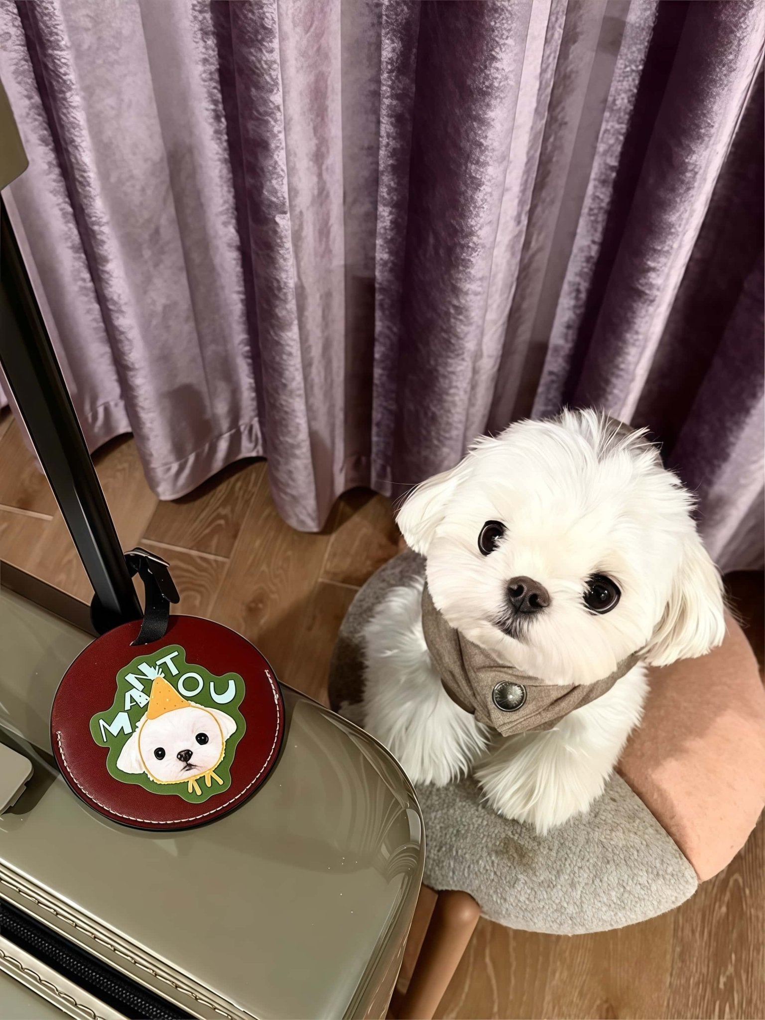 Custom Pet Luggage Tag