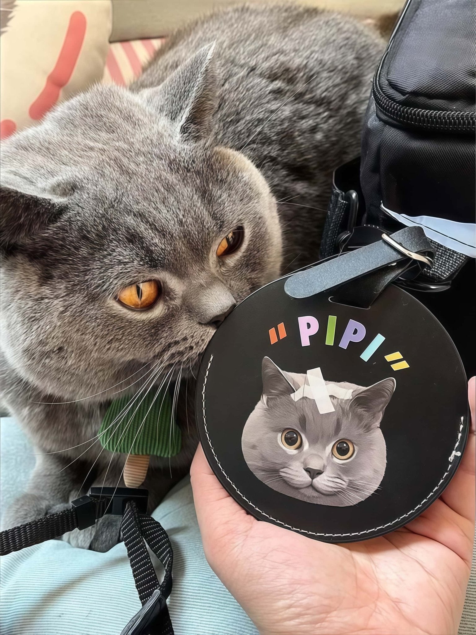 Custom Pet Luggage Tag