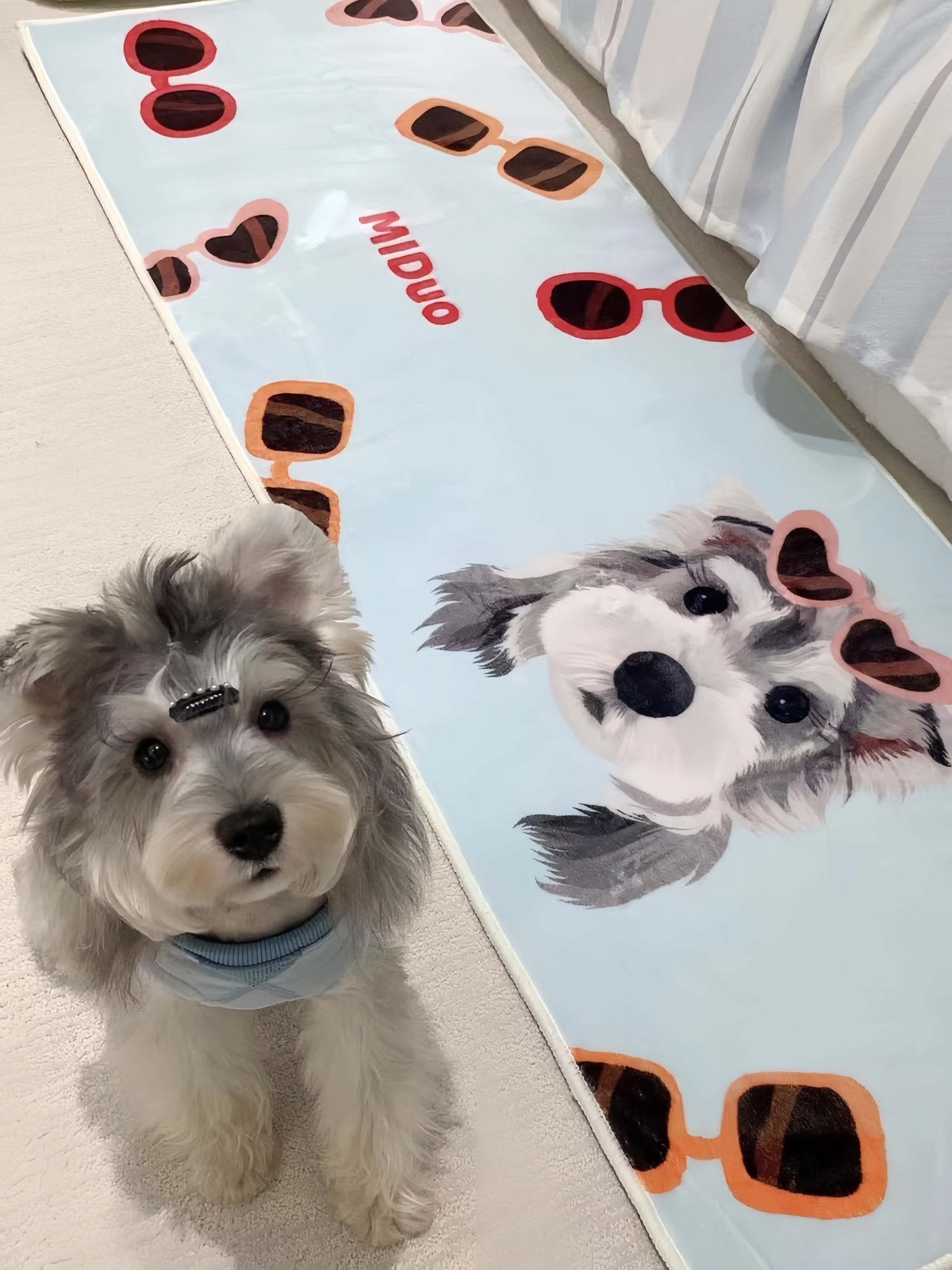 Custom Pet Mat (Rectangular)