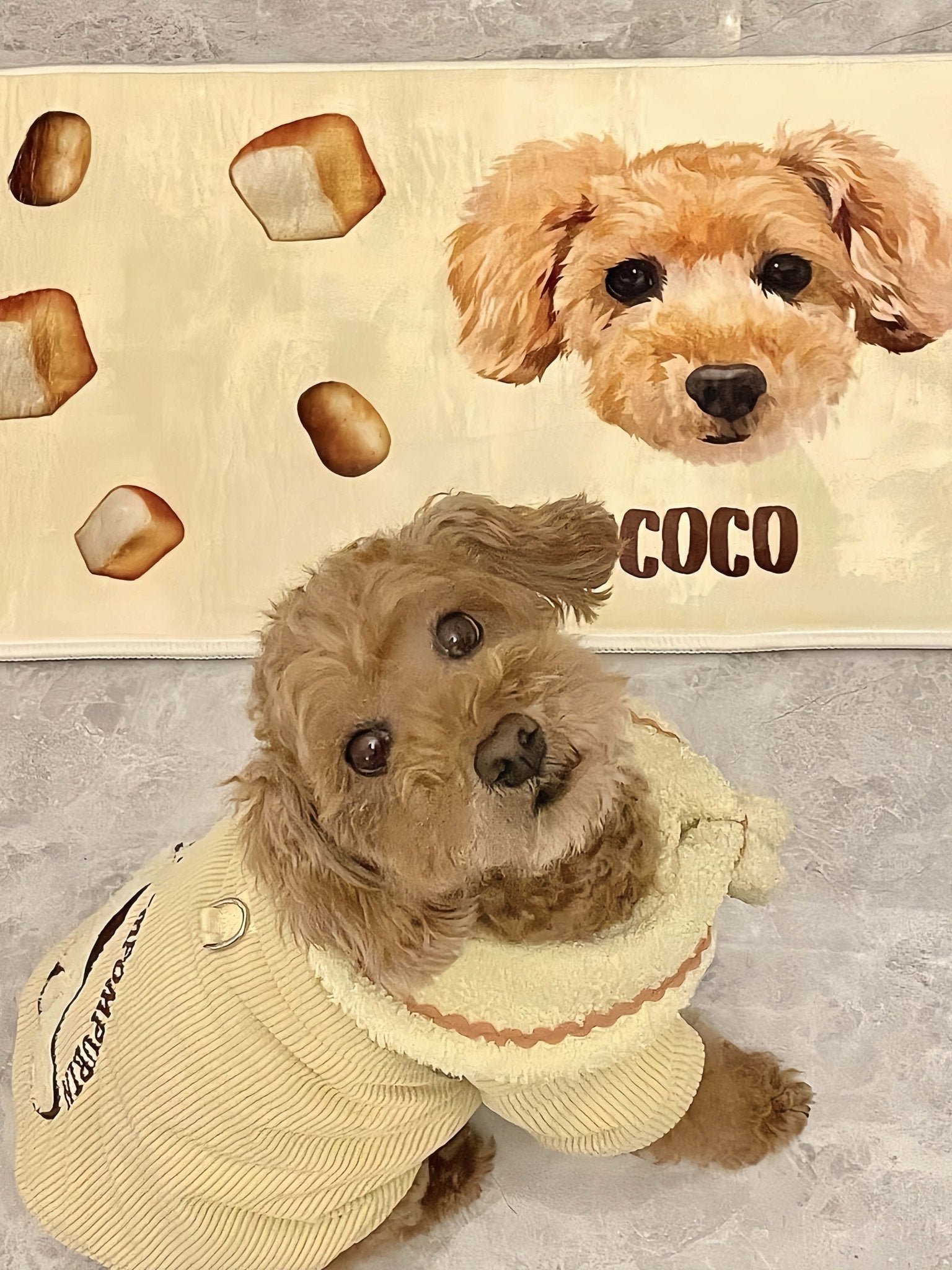 Custom Pet Mat (Rectangular)
