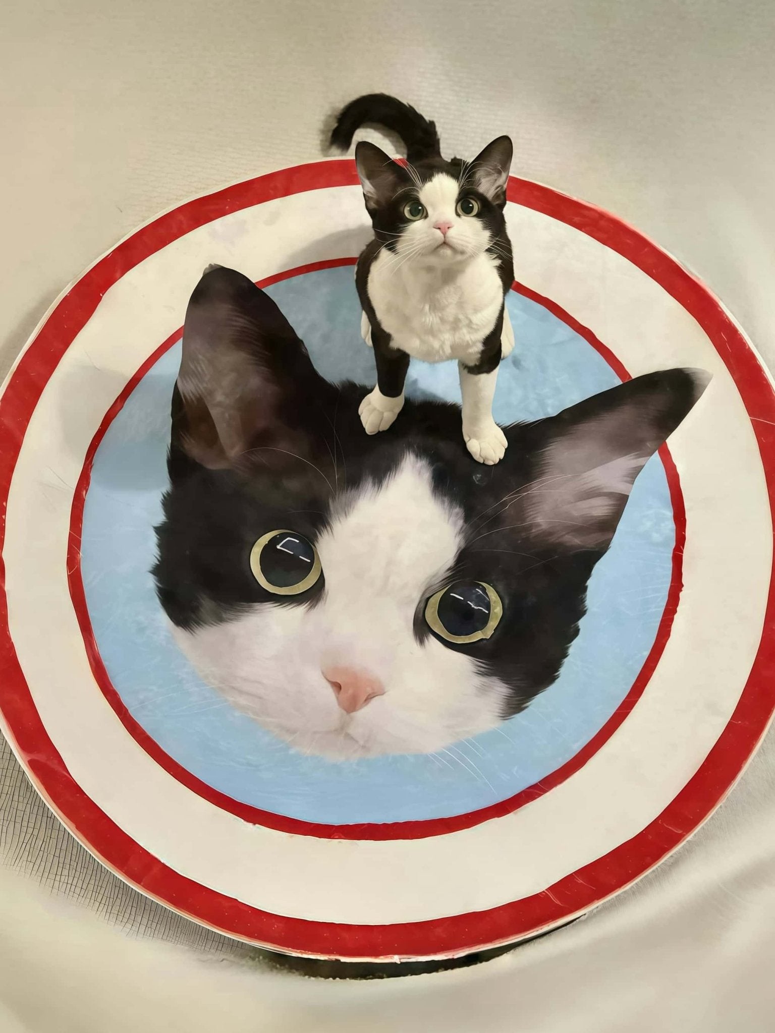 Custom Pet Mat (Round)