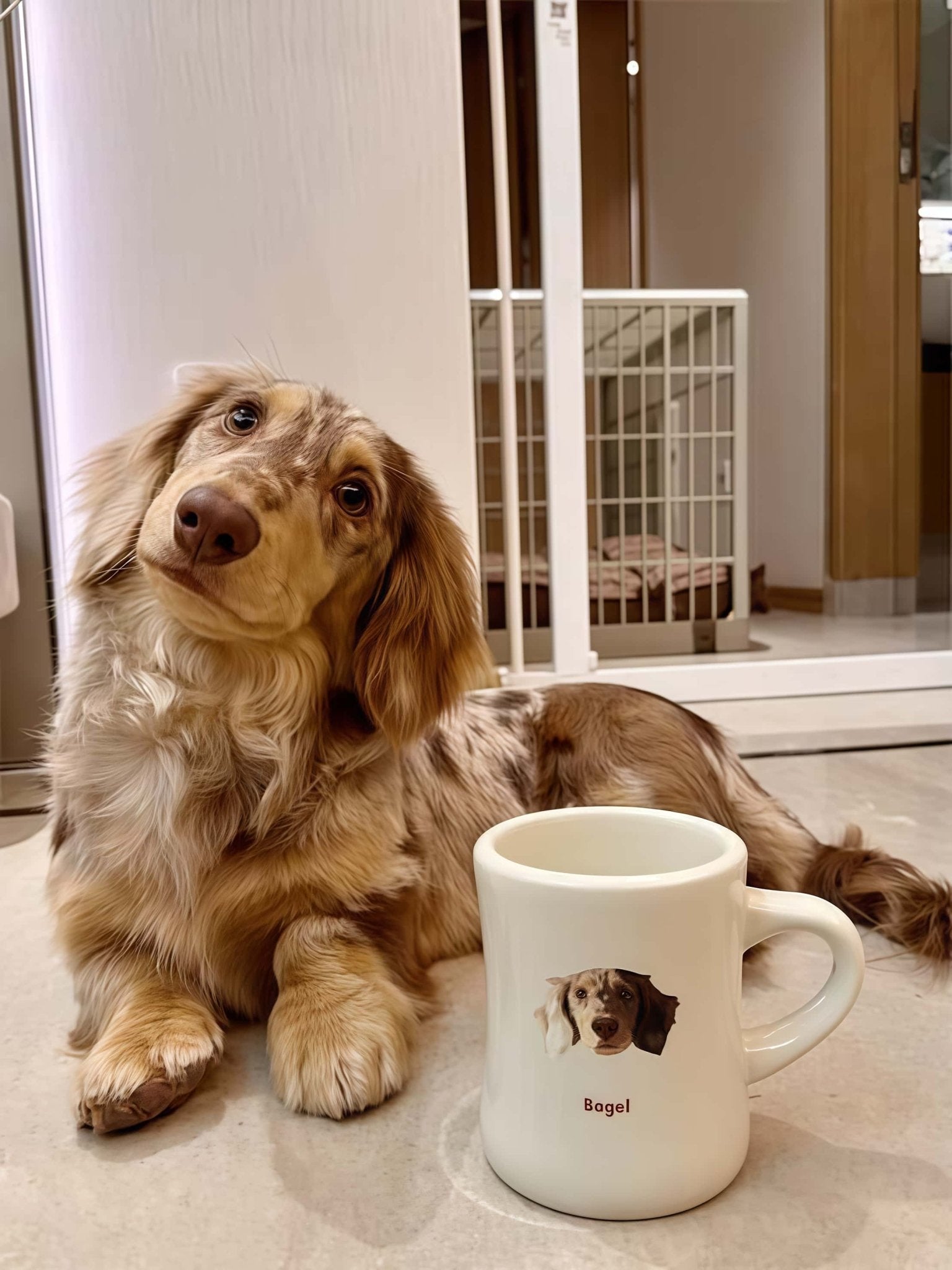 Custom Pet Mug