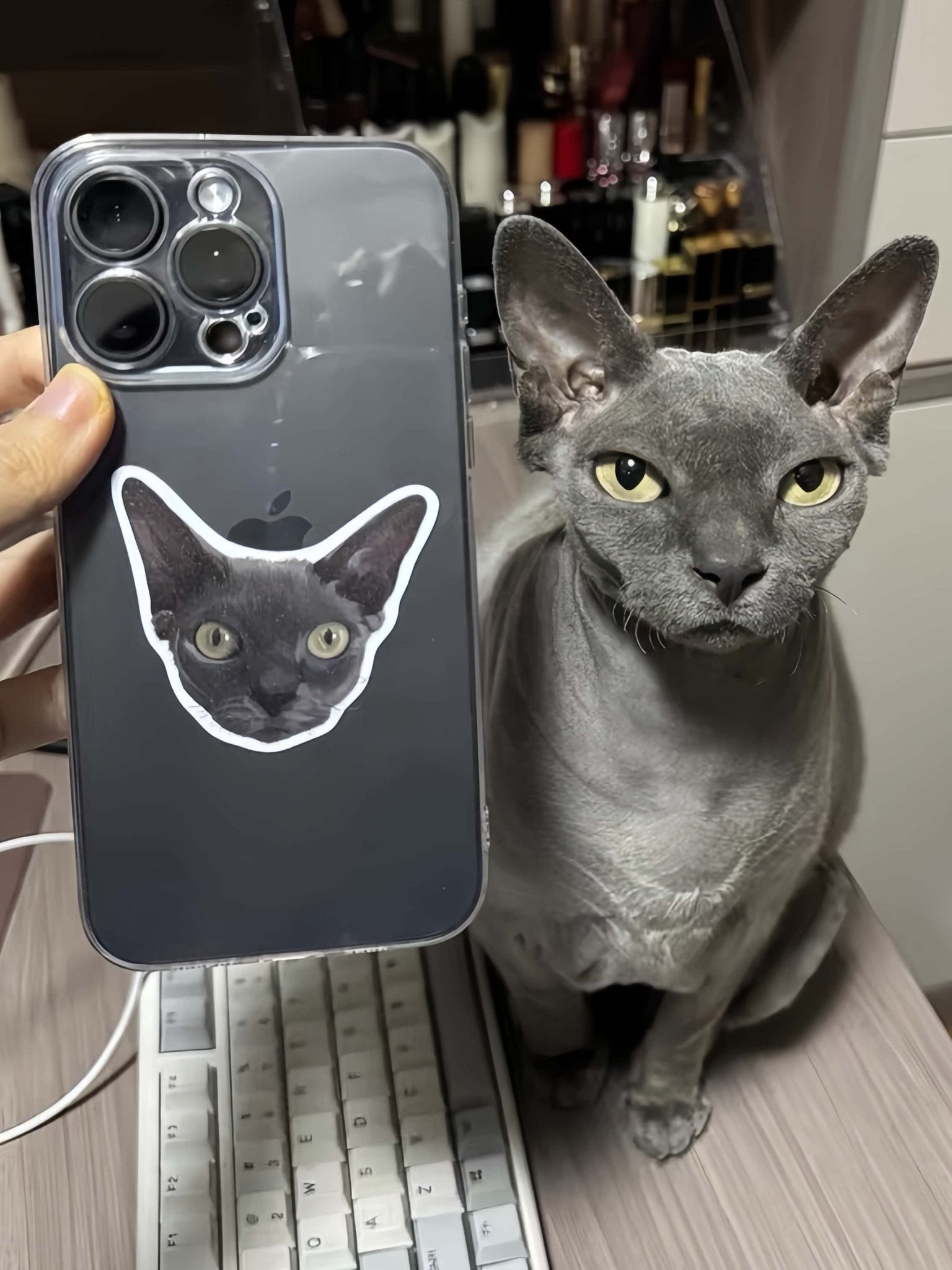 Custom Pet Phone Cases