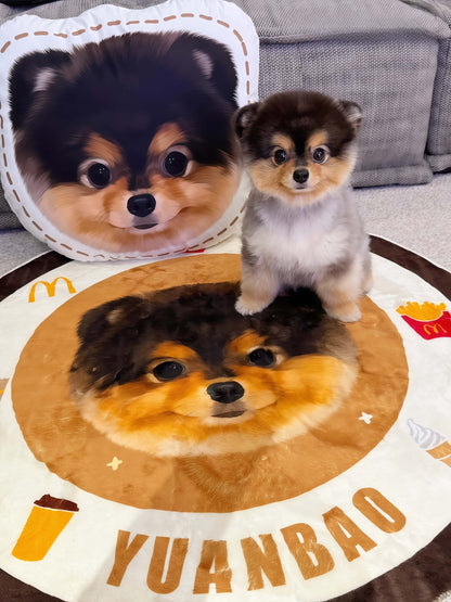 Custom Pet Pillow