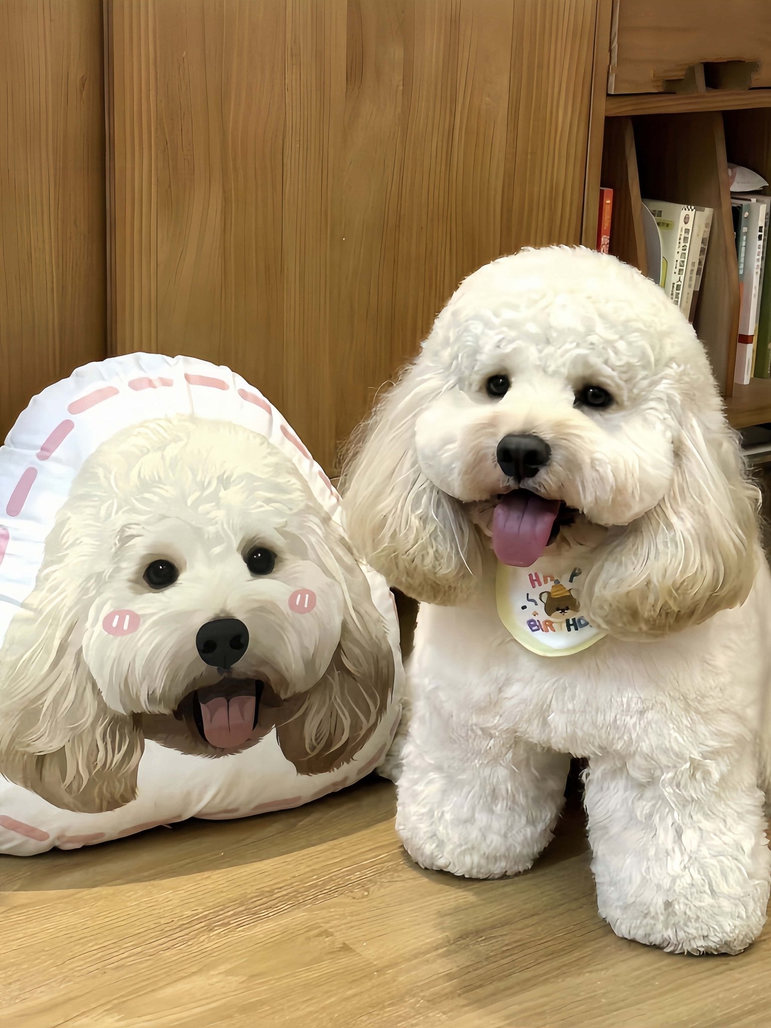 Custom Pet Pillow