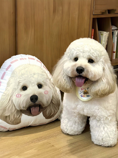 Custom Pet Pillow