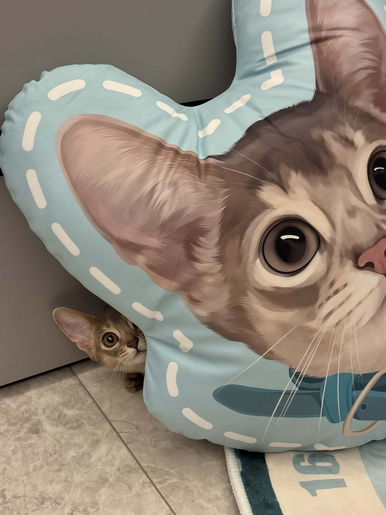 Custom Pet Pillow