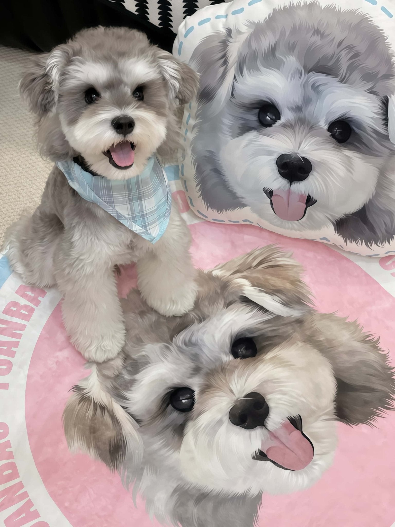 Custom Pet Pillow
