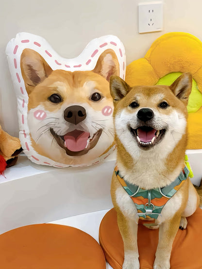 Custom Pet Pillow