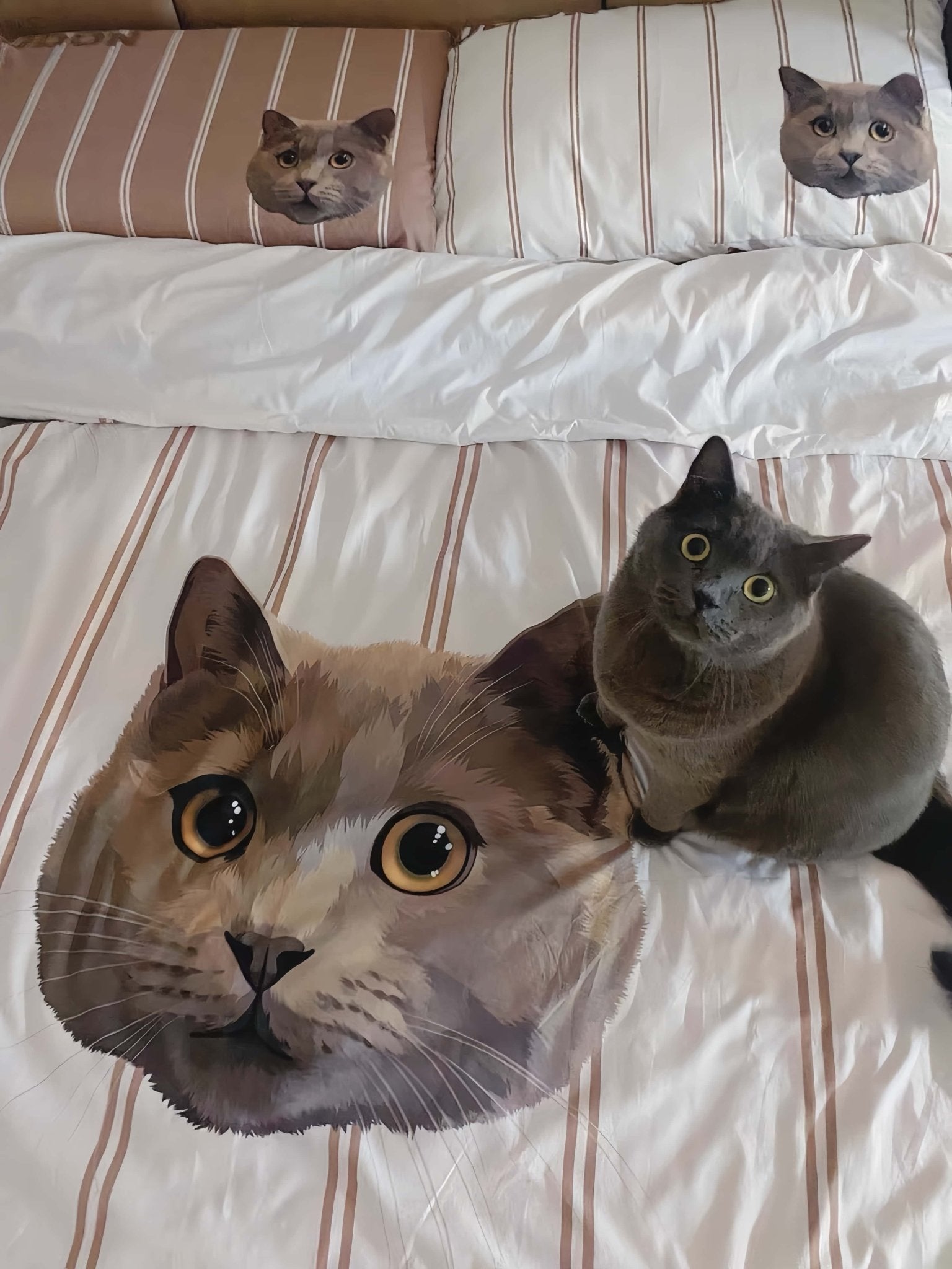 Custom Pet Sheets