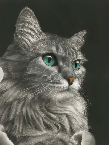 Custom Pet Sketches