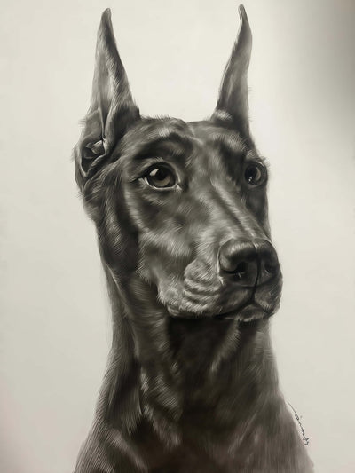 Custom Pet Sketches