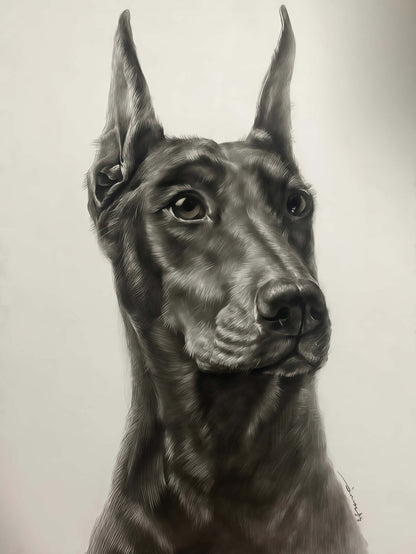 Custom Pet Sketches