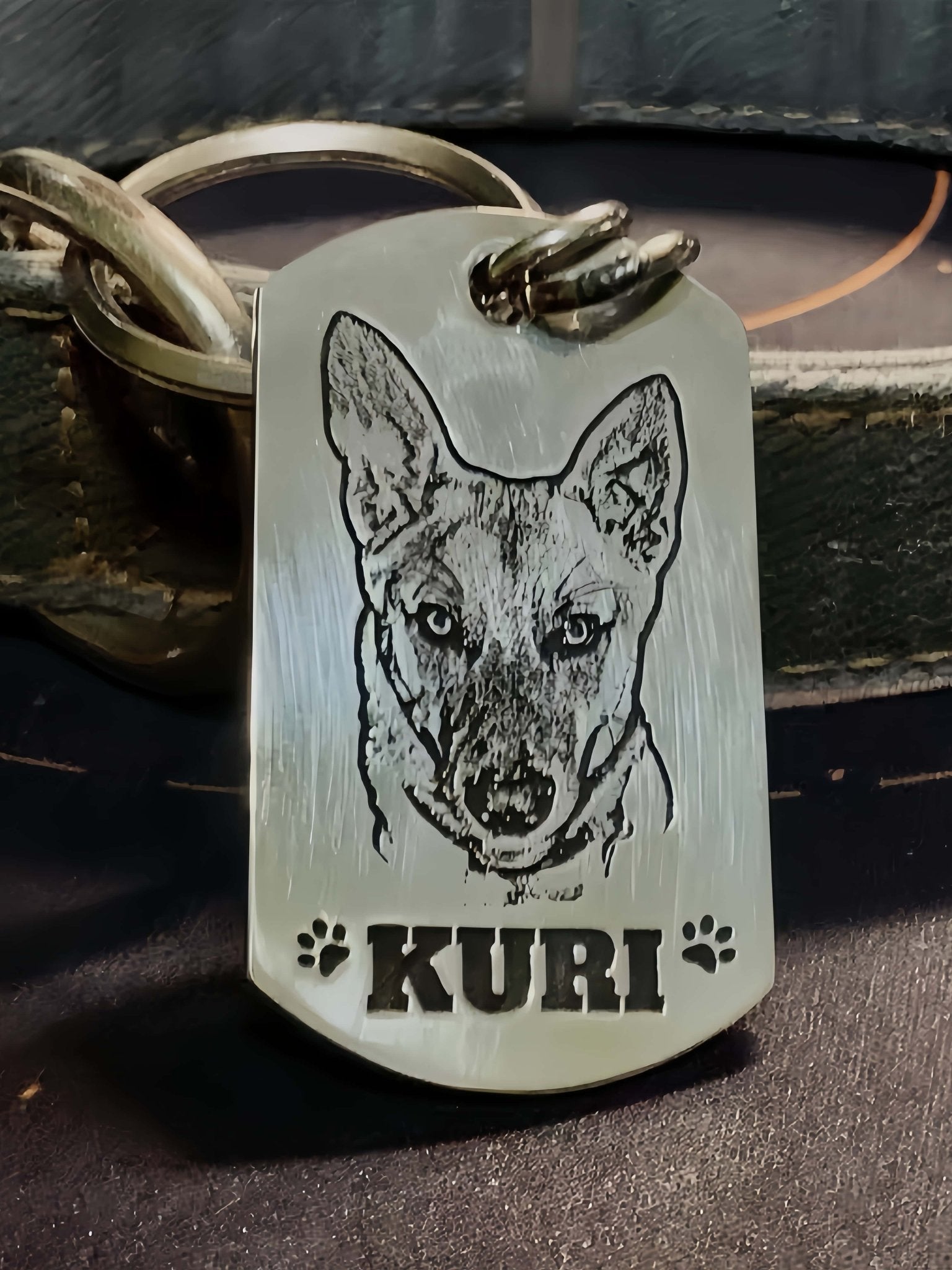 Custom Pet Tag - Classic Badge