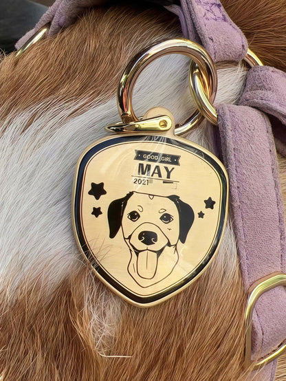 Custom Pet Tag - Shield Badge
