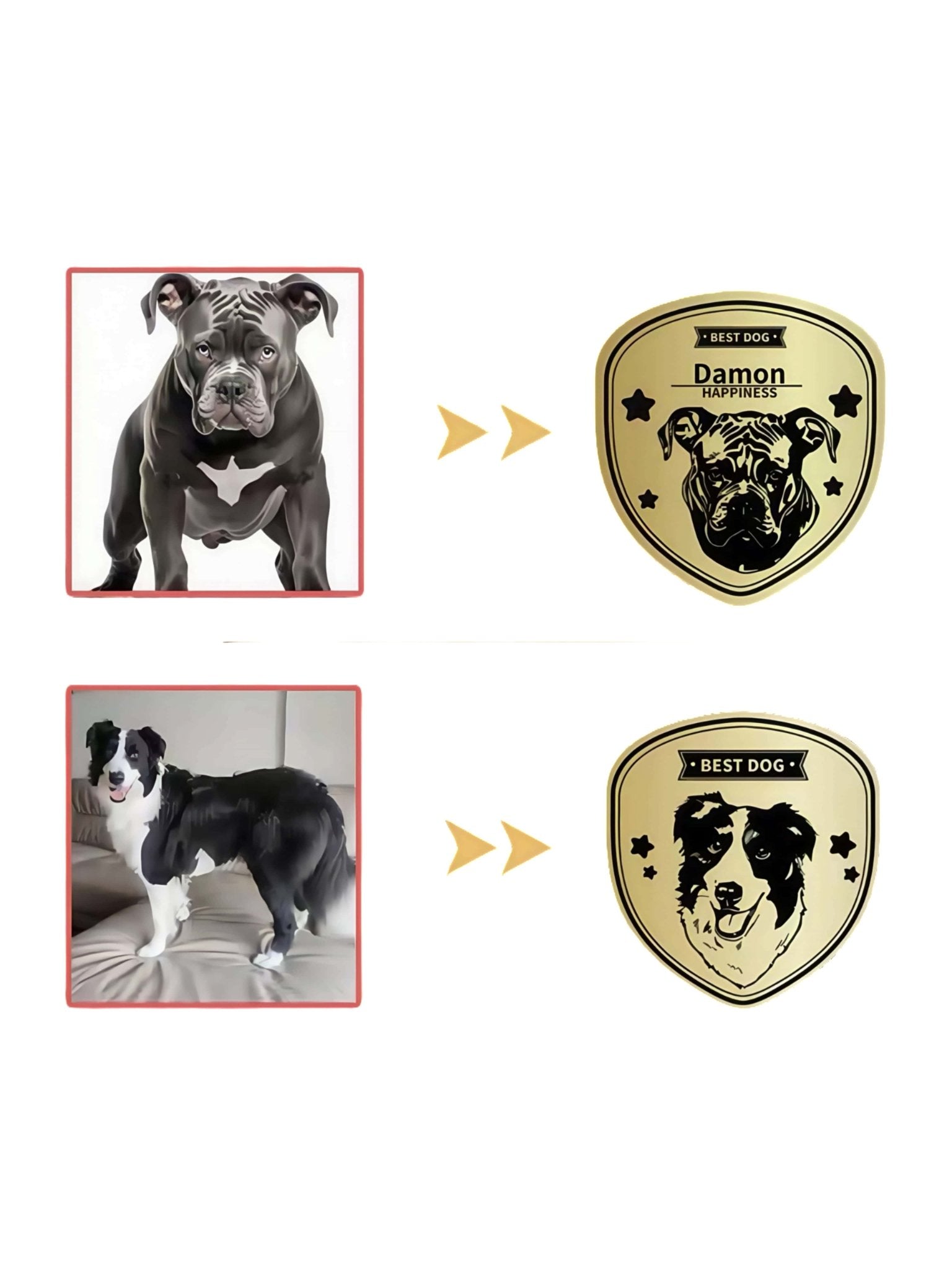 Custom Pet Tag - Shield Badge