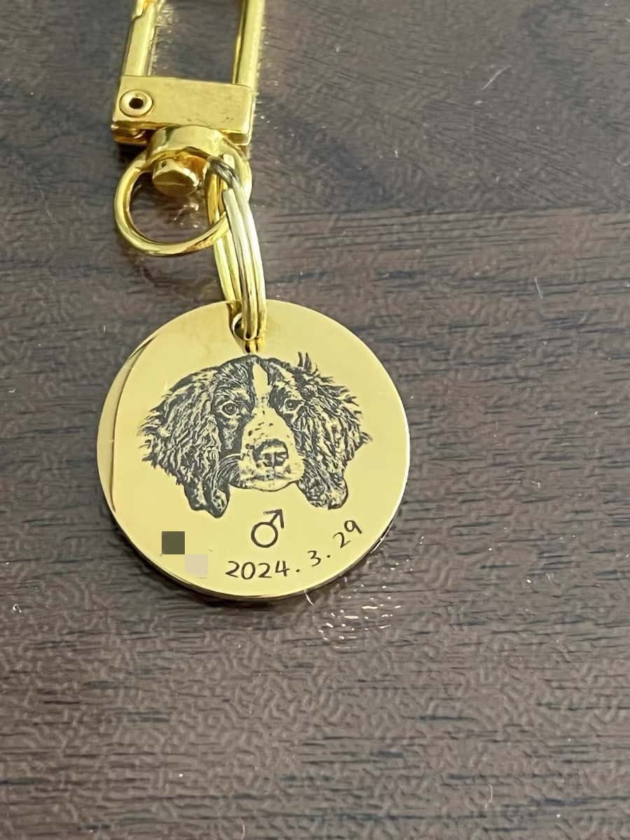 Custom Pet Tag - Vintage Medal