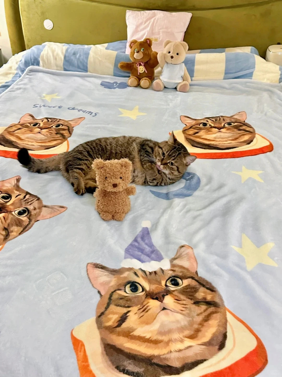 Personalized Pet Photo Art Blanket